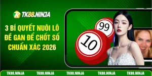 3 bí quyết nuôi lô đề gan để chốt số chuẩn xác 2026