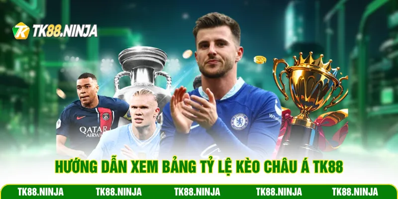 Hướng dẫn xem bảng tỷ lệ kèo châu Á TK88