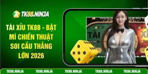 Tài xỉu Tk88 bật mí chiến thuật soi cầu thắng lớn 2026